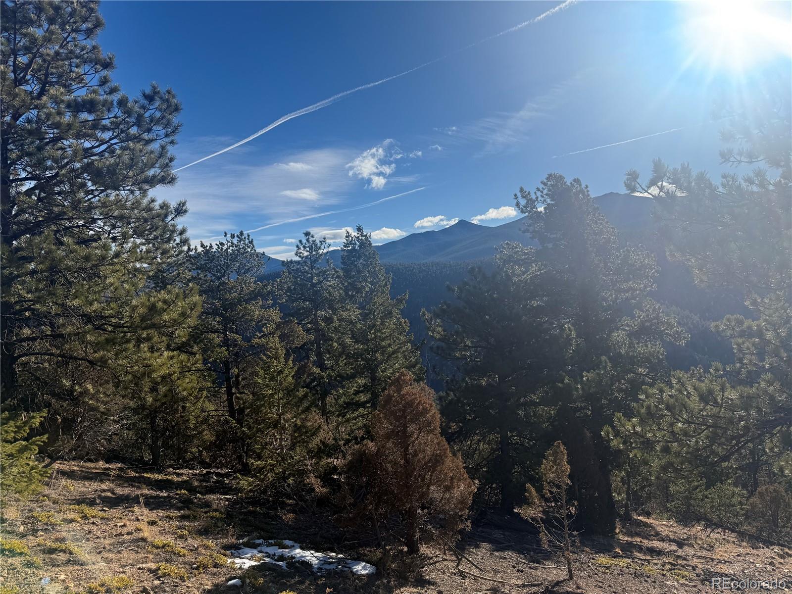 0 Alps Mountain Road Idaho Springs, CO 80452 - Photo 9 of 19 a view of a yard