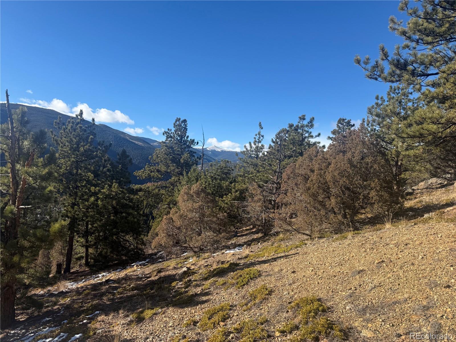 0 Alps Mountain Road Idaho Springs, CO 80452 - Photo 10 of 19 a view of a yard with a tree