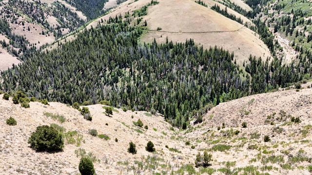 7500 Spring Canyon Road Helper, UT 84526 - Photo 49 of 83 View of rural area with mountains and a forest