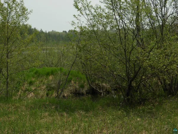 $93,000 | 6726 East Deep Lake Road, Iron River, WI 54847