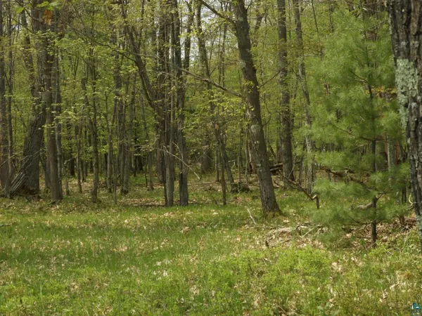 $93,000 | 6726 East Deep Lake Road, Iron River, WI 54847