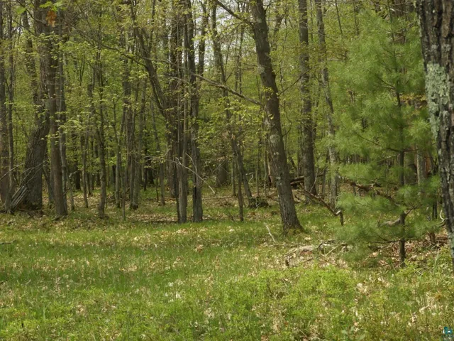 $93,000 | 6726 East Deep Lake Road, Iron River, WI 54847