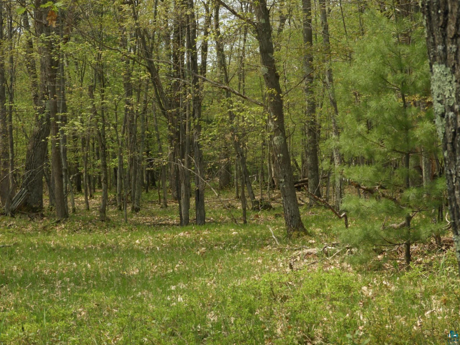 6726 East Deep Lake Road Iron River, WI 54847 - Photo 2 of 8