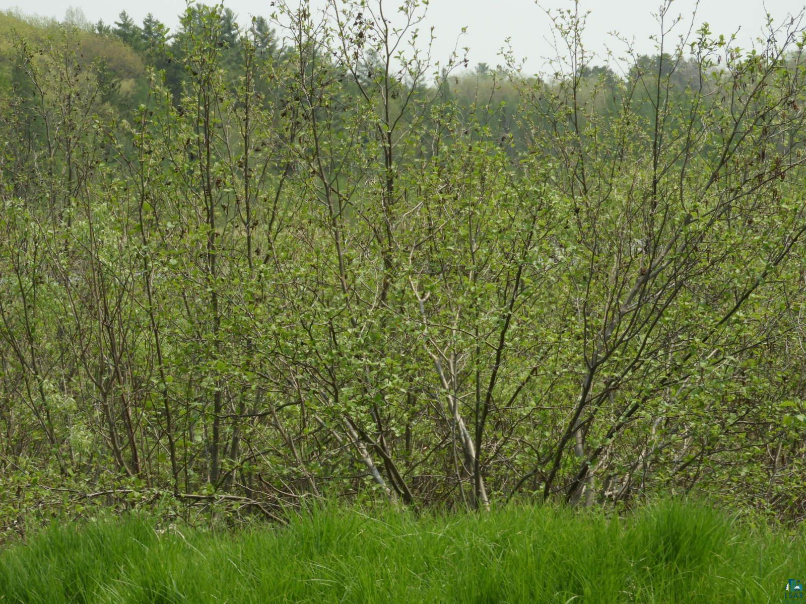 6726 East Deep Lake Road Iron River, WI 54847 - Photo 3 of 8