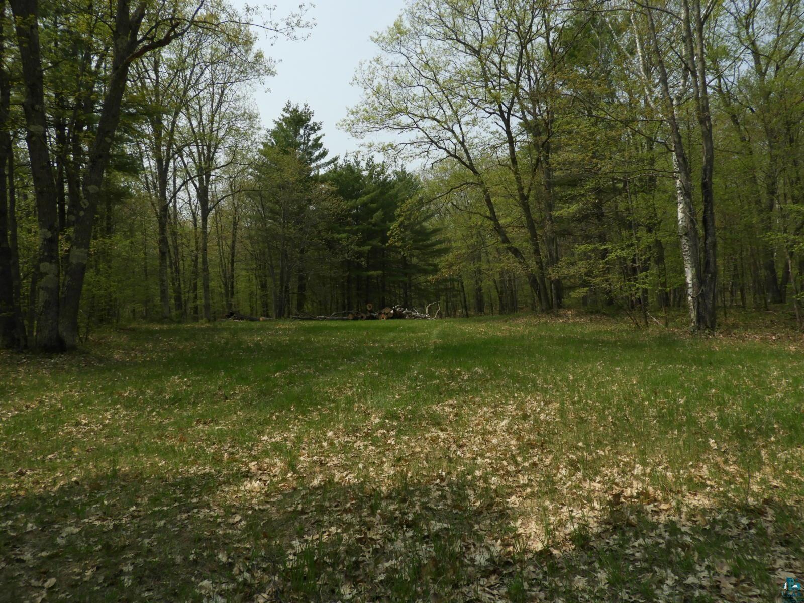 6726 East Deep Lake Road Iron River, WI 54847 - Photo 5 of 8