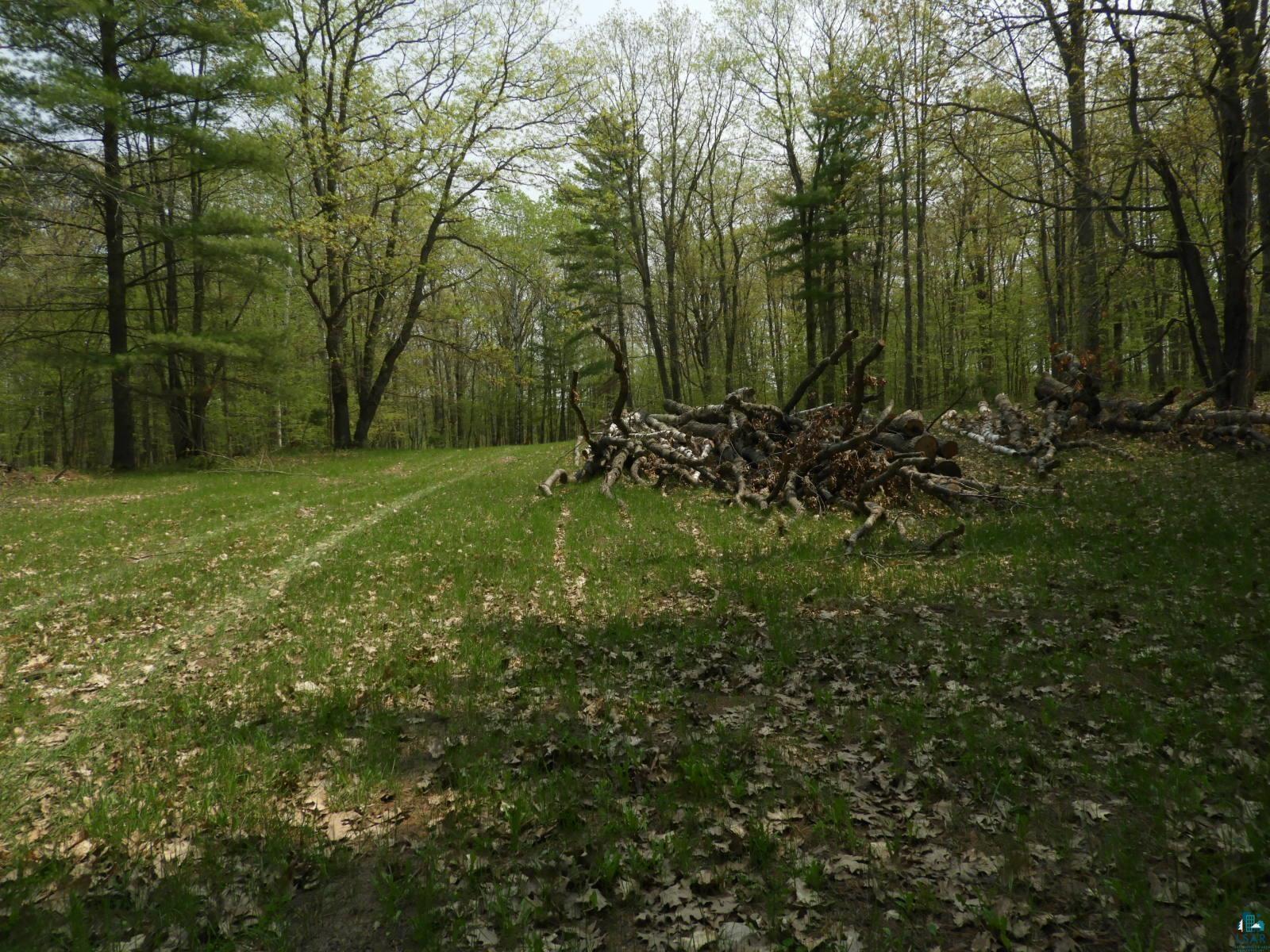 6726 East Deep Lake Road Iron River, WI 54847 - Photo 6 of 8