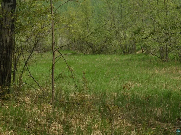 $93,000 | 6726 East Deep Lake Road, Iron River, WI 54847