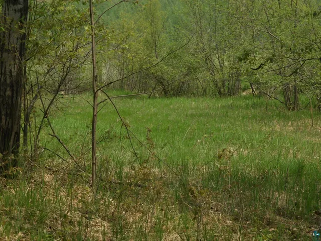 $93,000 | 6726 East Deep Lake Road, Iron River, WI 54847