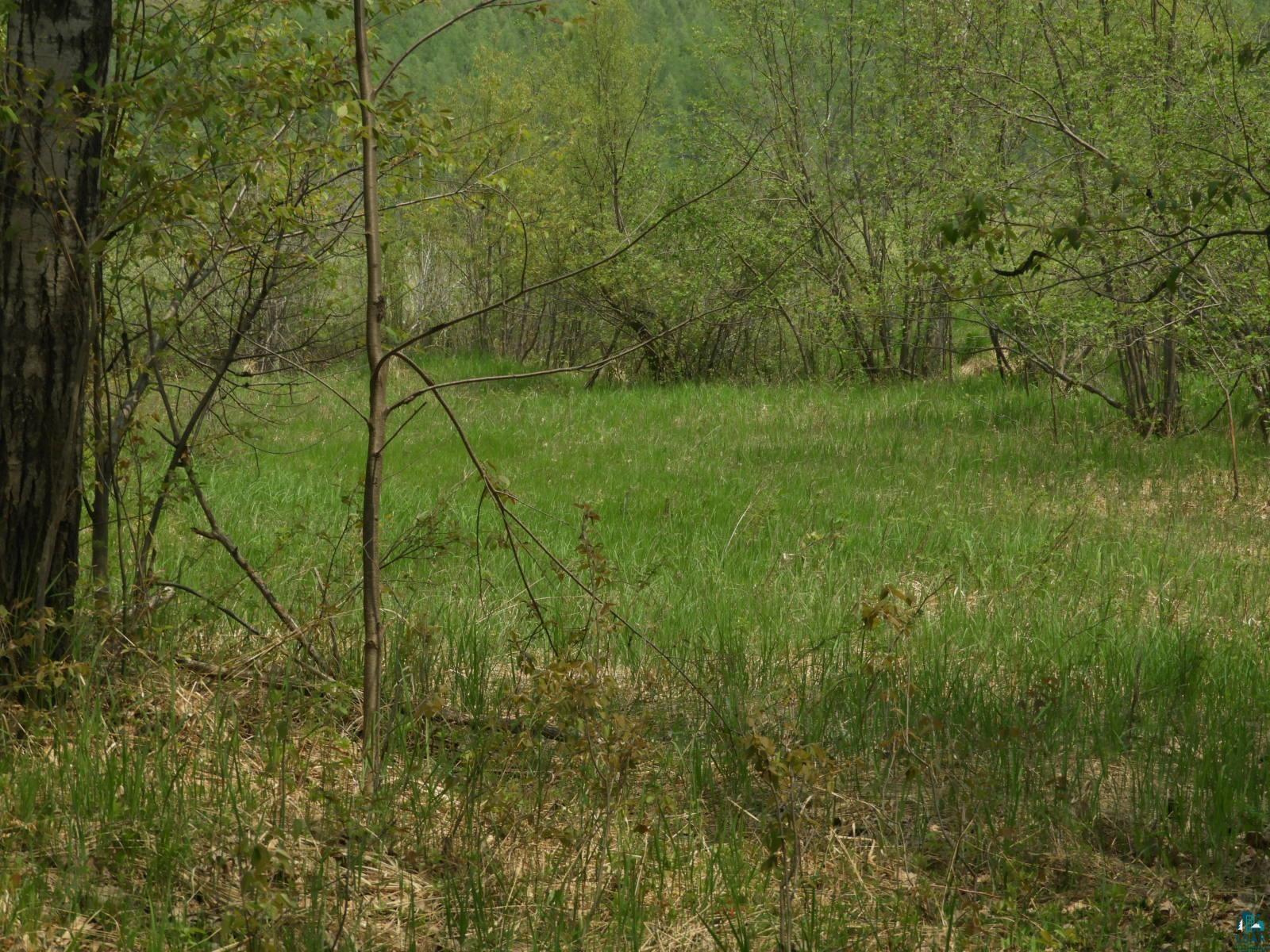 6726 East Deep Lake Road Iron River, WI 54847 - Photo 7 of 8