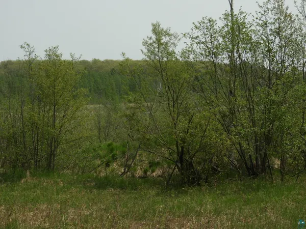 $93,000 | 6726 East Deep Lake Road, Iron River, WI 54847