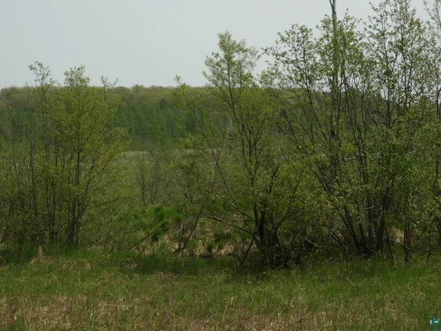 $93,000 | 6726 East Deep Lake Road, Iron River, WI 54847