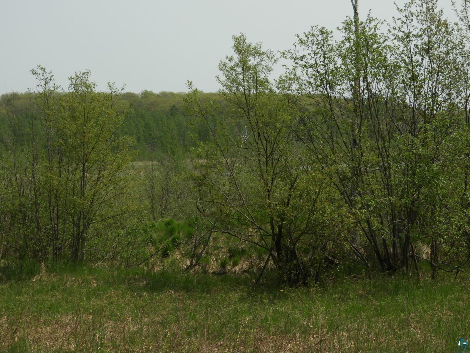 6726 East Deep Lake Road Iron River, WI 54847 - Photo 8 of 8