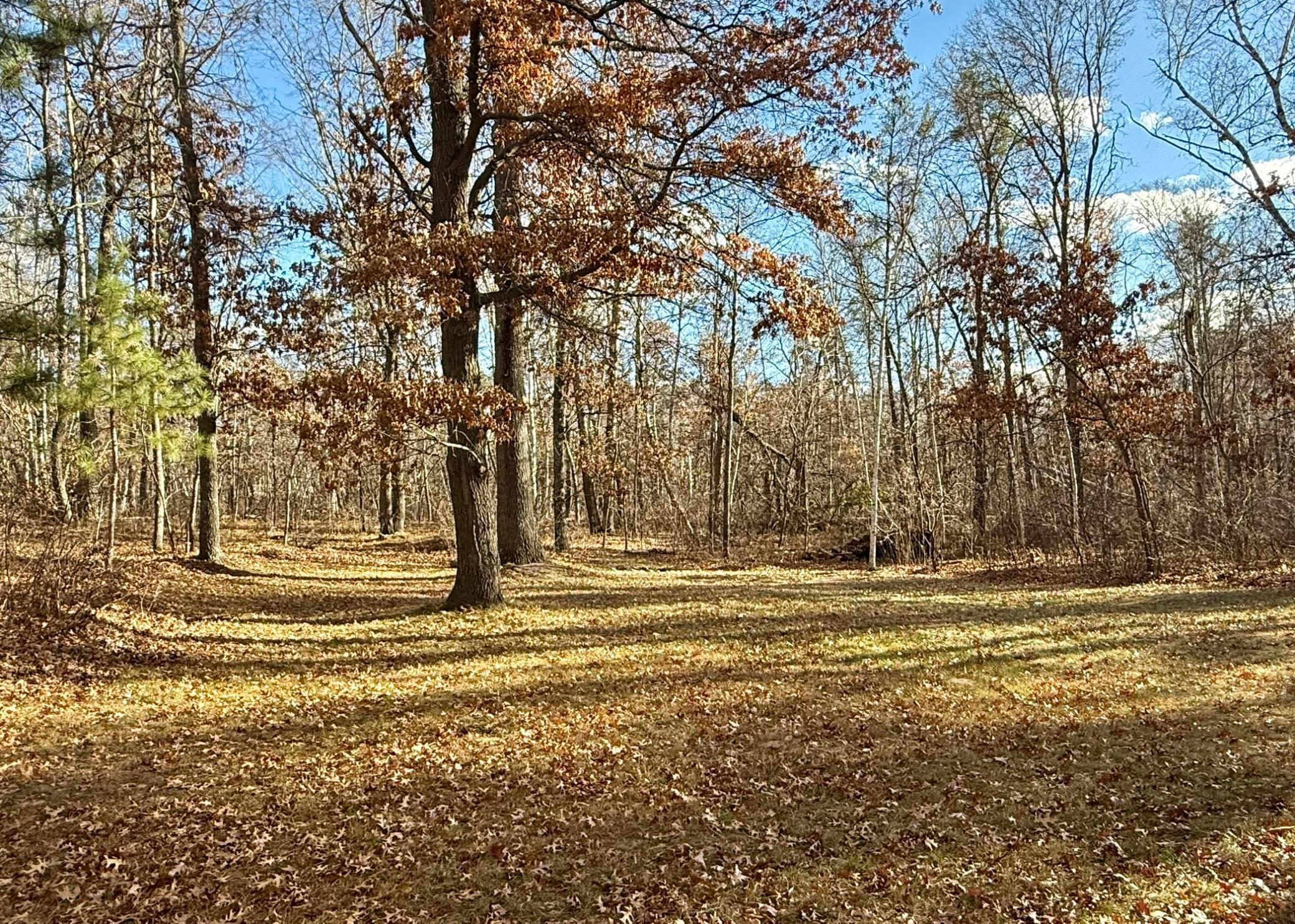 17358 Smith Road Brainerd, MN 56401 - Photo 20 of 25