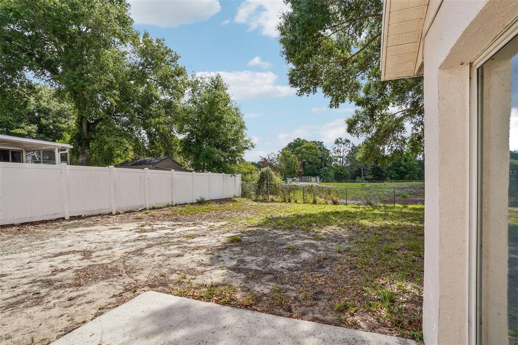 2596 Alclobe Circle Ocoee, FL 34761 - Photo 54 of 70 a view of a backyard with a tree