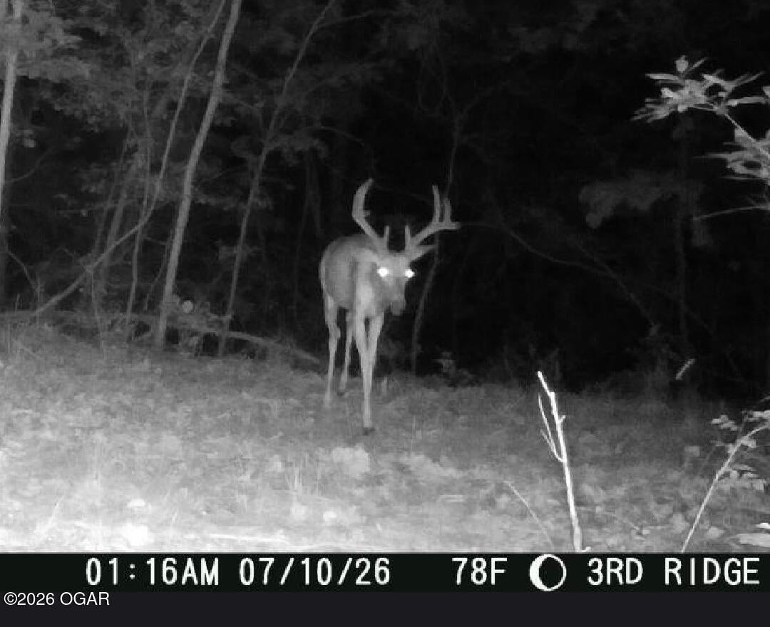 861 Tilden Road Galena, MO 65656 - Photo 67 of 67 Gallery Image 67
