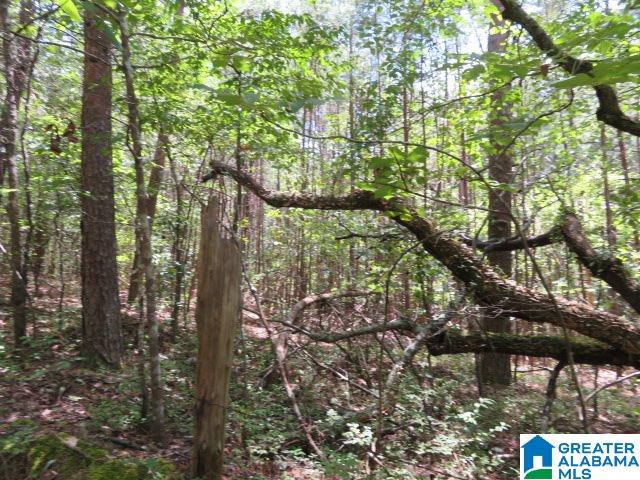 20025 Booler Road Vance, AL 35490 - Photo 47 of 48