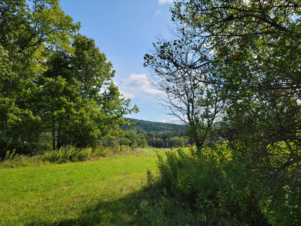 0 Fairgrounds Road Prattsburgh, NY 14873 - Photo 1 of 8
