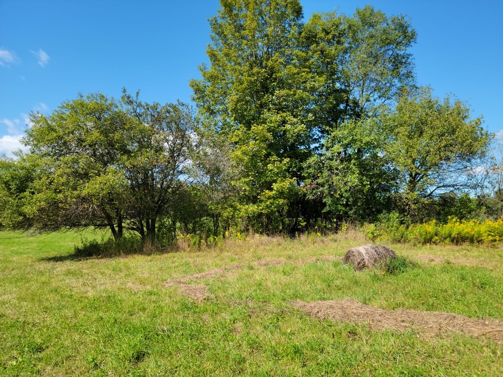 0 Fairgrounds Road Prattsburgh, NY 14873 - Photo 2 of 8