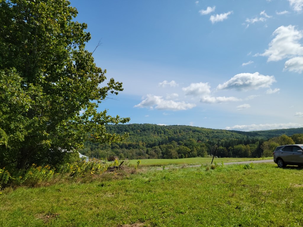 0 Fairgrounds Road Prattsburgh, NY 14873 - Photo 4 of 8