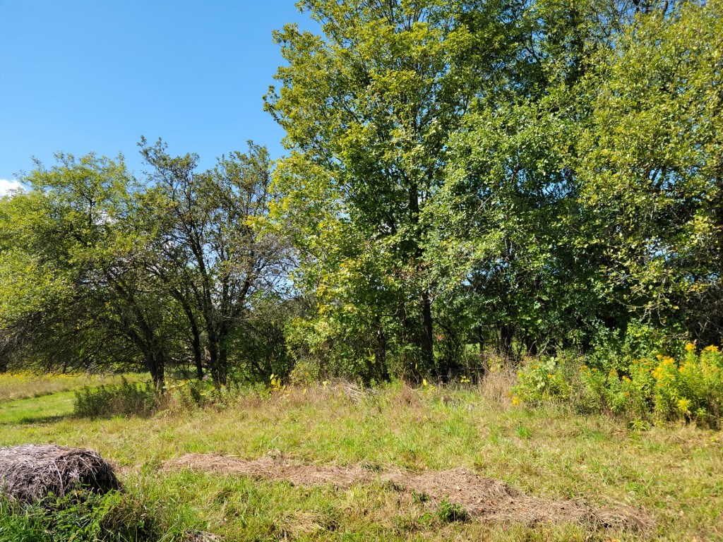 0 Fairgrounds Road Prattsburgh, NY 14873 - Photo 5 of 8