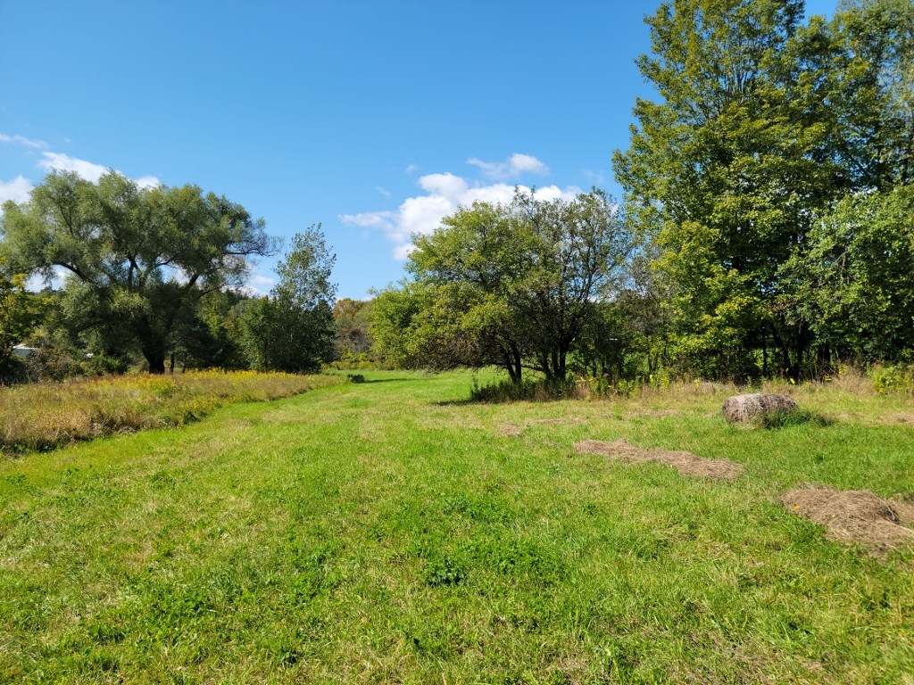 0 Fairgrounds Road Prattsburgh, NY 14873 - Photo 6 of 8