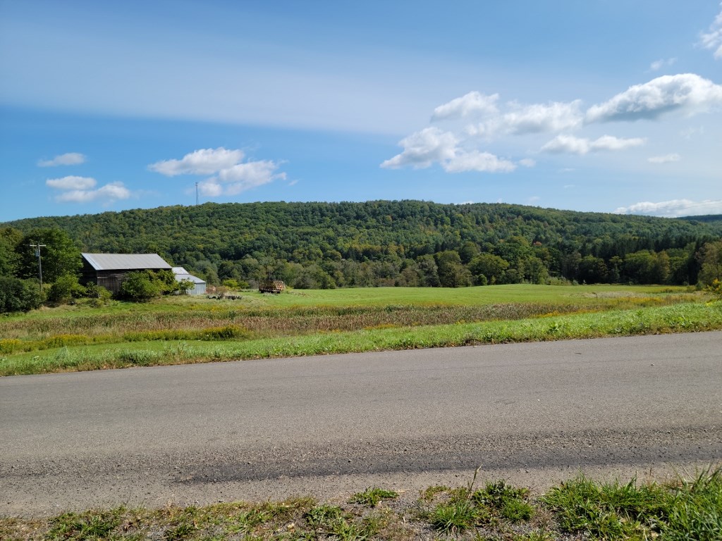 0 Fairgrounds Road Prattsburgh, NY 14873 - Photo 7 of 8