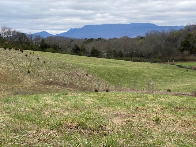Farm Road Newport, TN 37821 - Photo 1 of 10 IMG_4575
