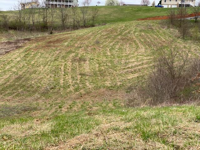 Farm Road Newport, TN 37821 - Photo 3 of 10 IMG_4578