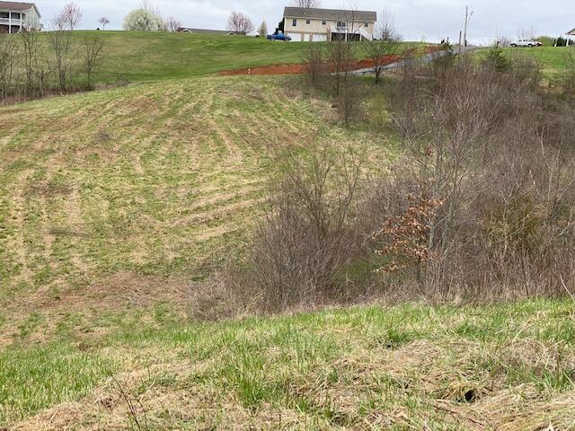 Farm Road Newport, TN 37821 - Photo 4 of 10 IMG_4580
