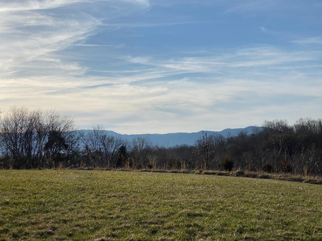 Farm Road Newport, TN 37821 - Photo 5 of 10 Lot 5 Farm Rd-mountain view