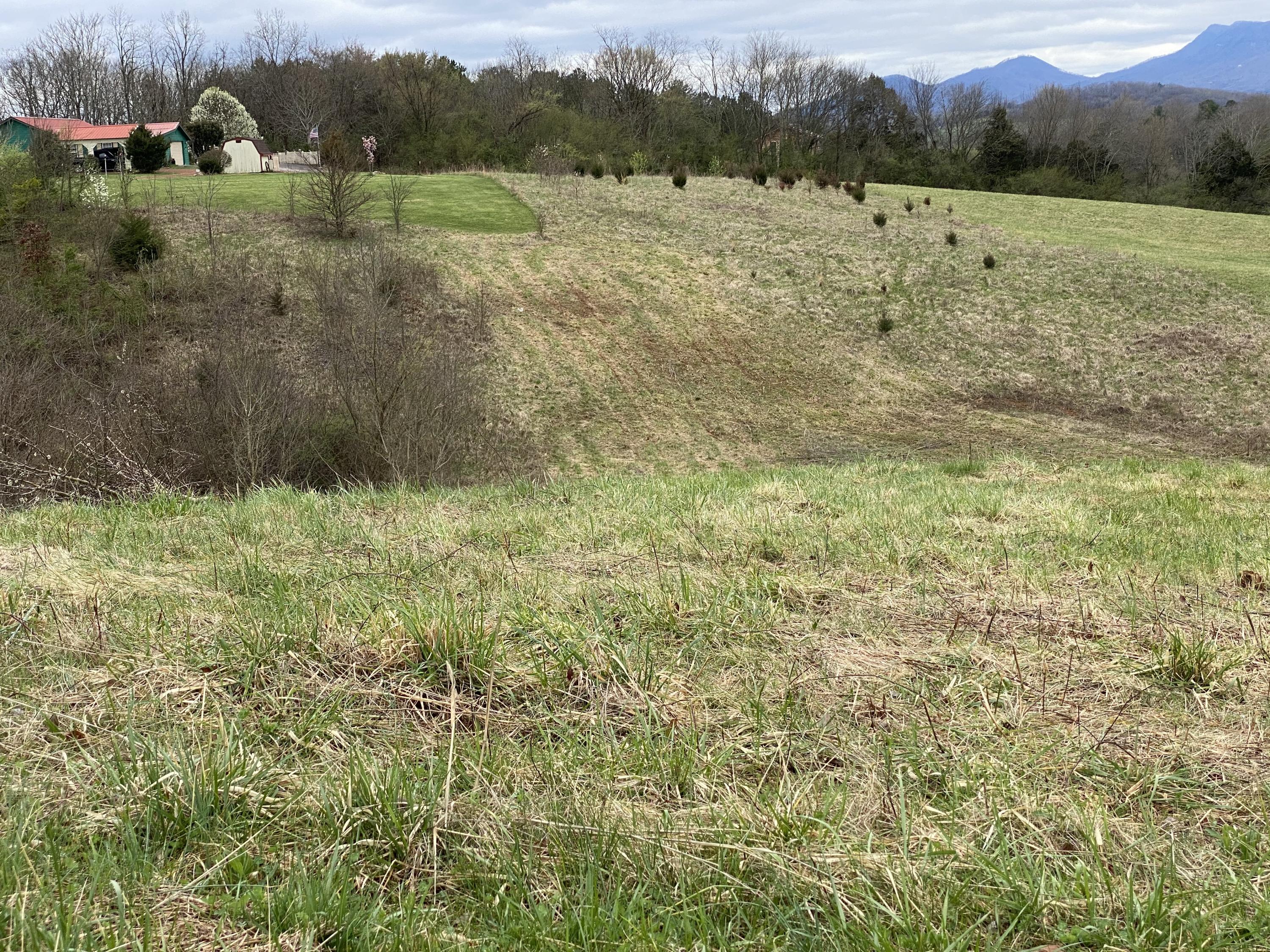 Farm Road Newport, TN 37821 - Photo 7 of 10 IMG_4576