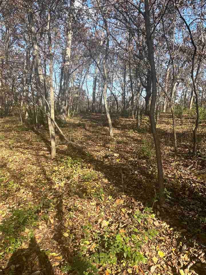 0 Louisa-Washington County Line Road Ainsworth, IA 52201 - Photo 25 of 34 Gallery Image 25