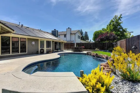 a view of a swimming pool with some potted plants and large tree