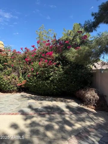 a view of a patio with table and chairs and potted plants
