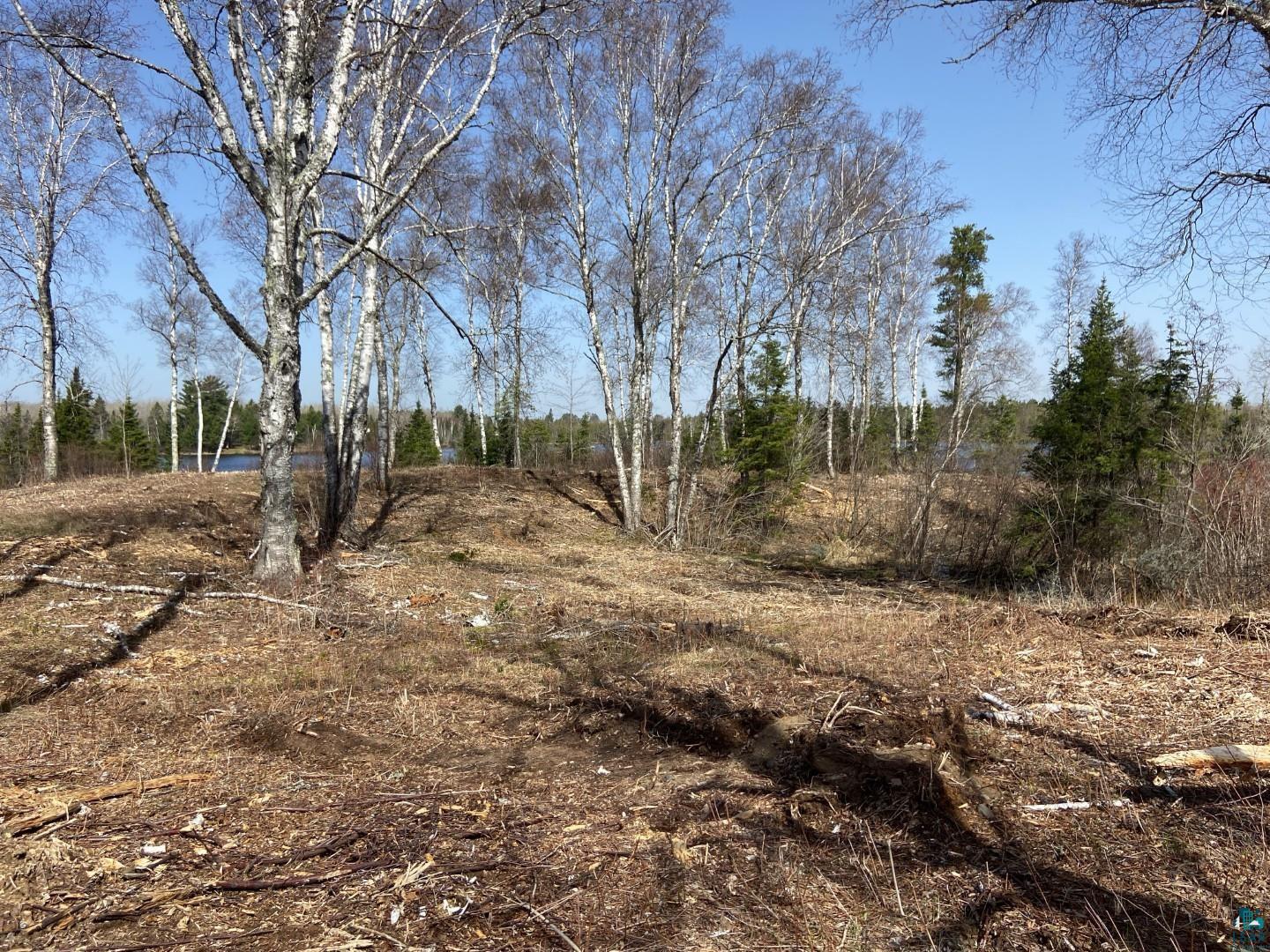 2102-5 Bear Lake Road Duluth, MN 55803 - Photo 2 of 21