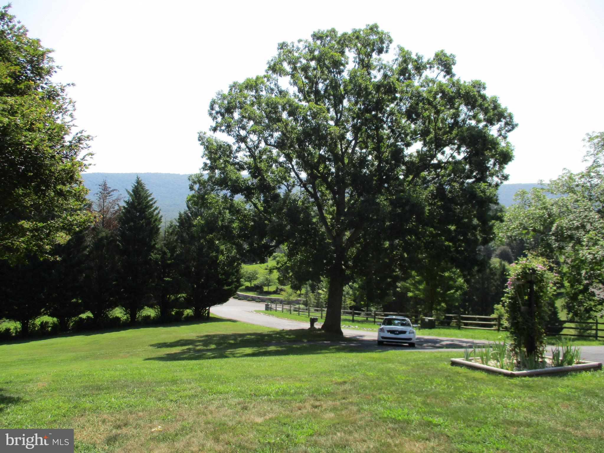2825 Spohrs Road Berkeley Springs, WV 25411 - Photo 5 of 30 Exterior (General)