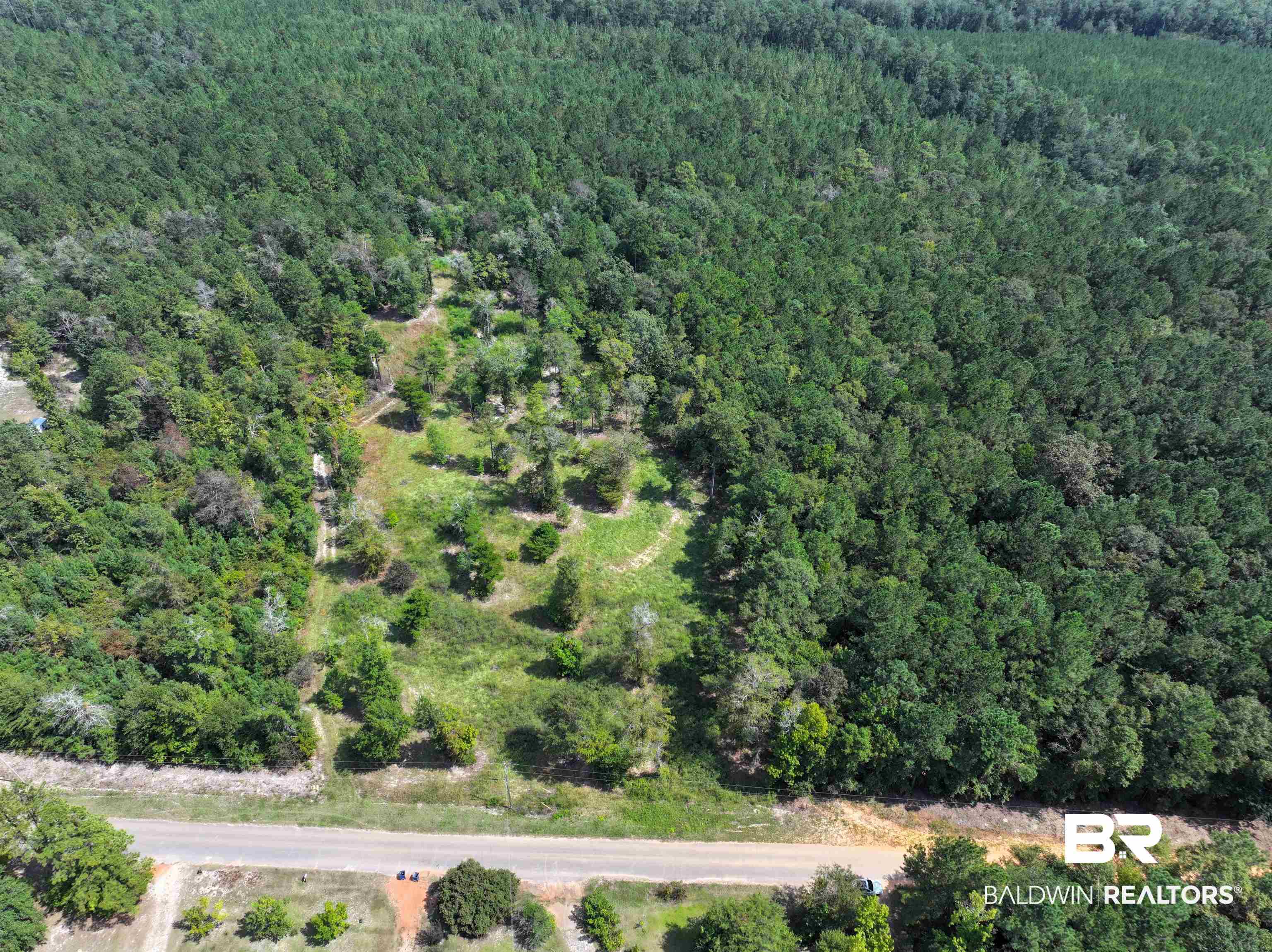 0 Dixon Nursery Road Brewton, AL 36426 - Photo 2 of 4 Aerial overview of property's location