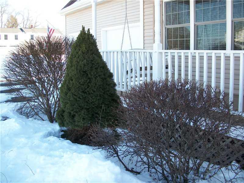 1 Hayfield Road Biddeford, ME 04005 - Photo 31 of 33 Yard/Garden.