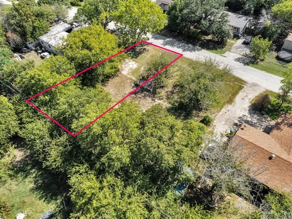 a view of a yard with plants and a trees