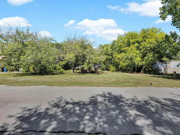 a view of a yard with plants and large trees
