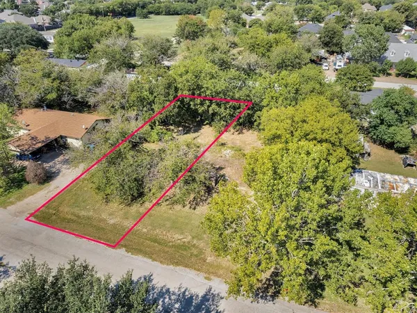 a view of a garden with plants