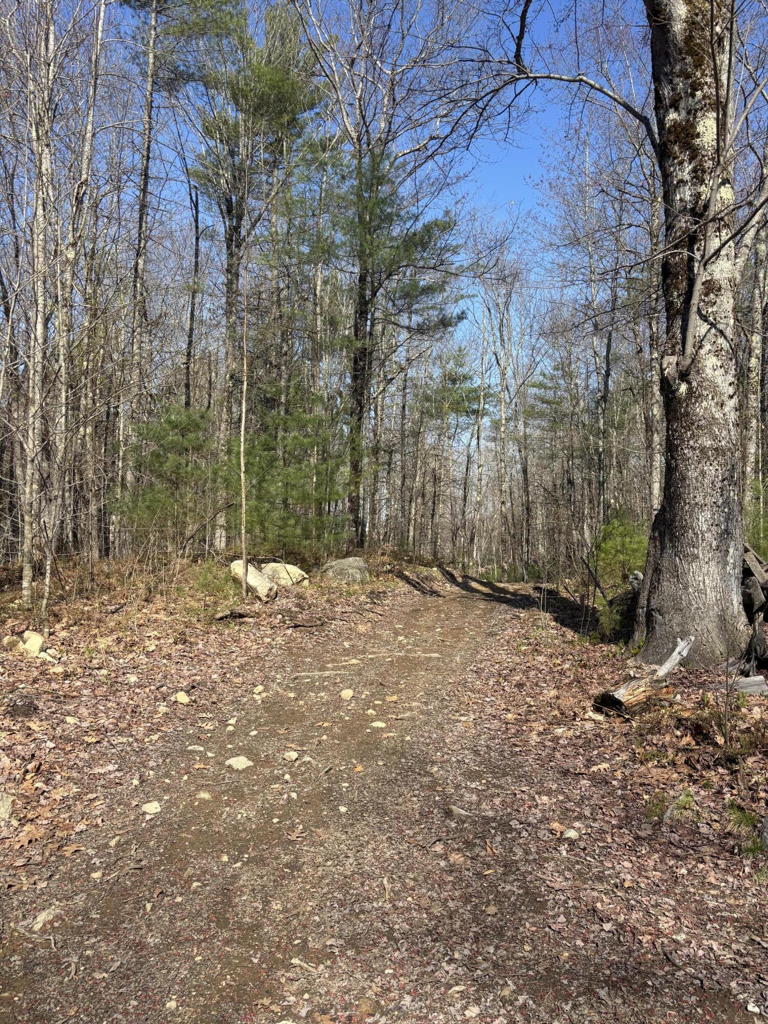 Lot 88 Bolton Hill Road Augusta, ME 04330 - Photo 11 of 17