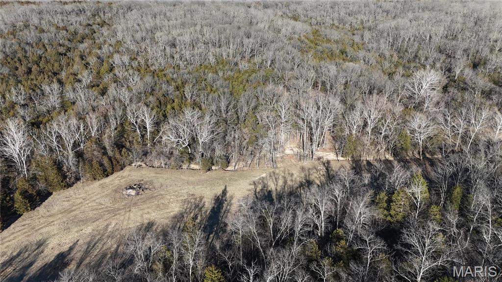 4 Lot Hematite Farms Road Festus, MO 63028 - Photo 3 of 3