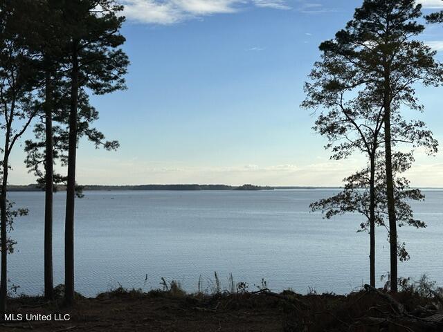 Lot 23 Neptune Shore Canton, MS 39046 - Photo 1 of 20 The Rez