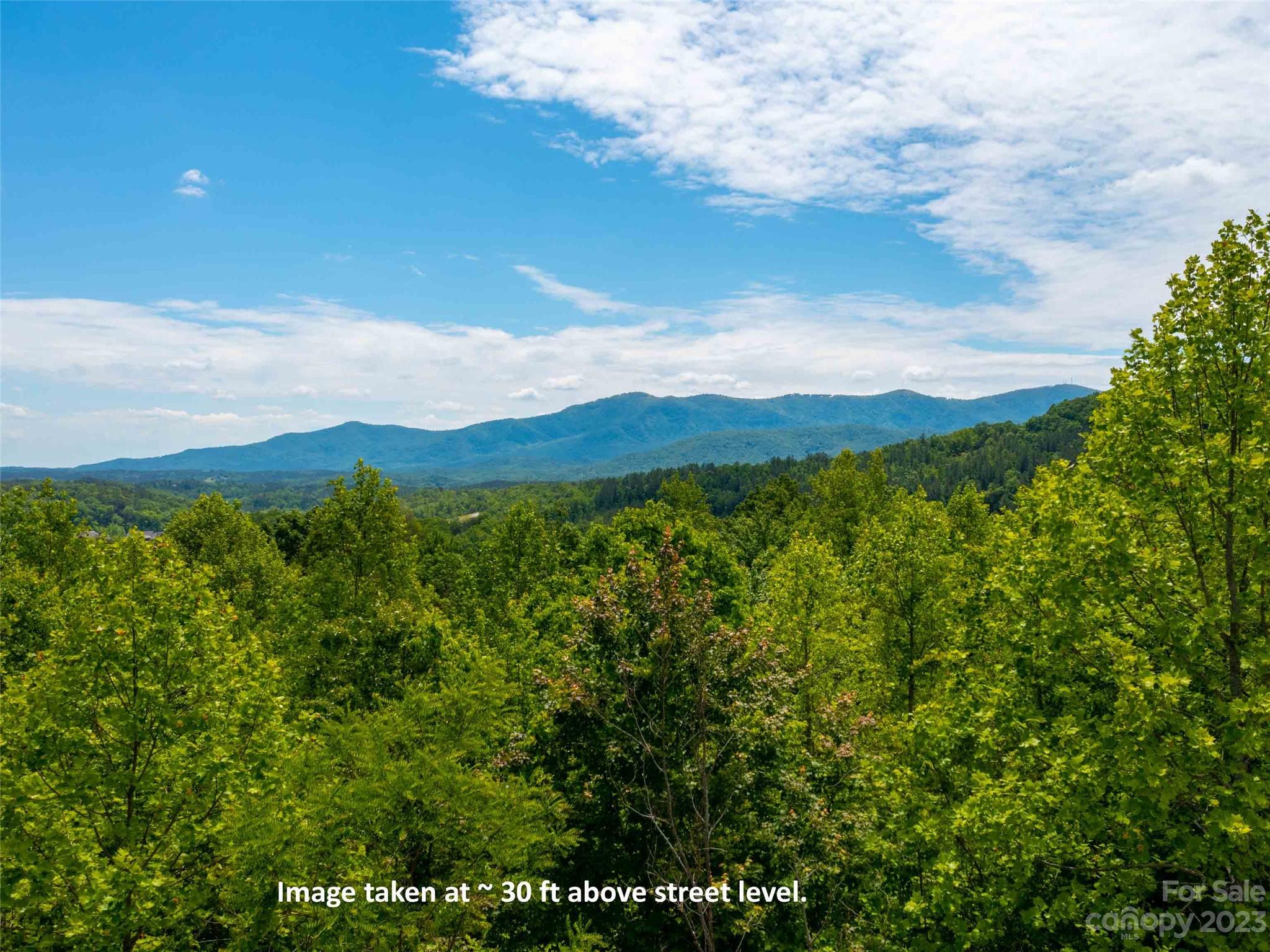 Lot 145 Wee Burn Rd Mill Spring Mill Spring, NC 28756 - Photo 6 of 7 a view of a lush green mountain