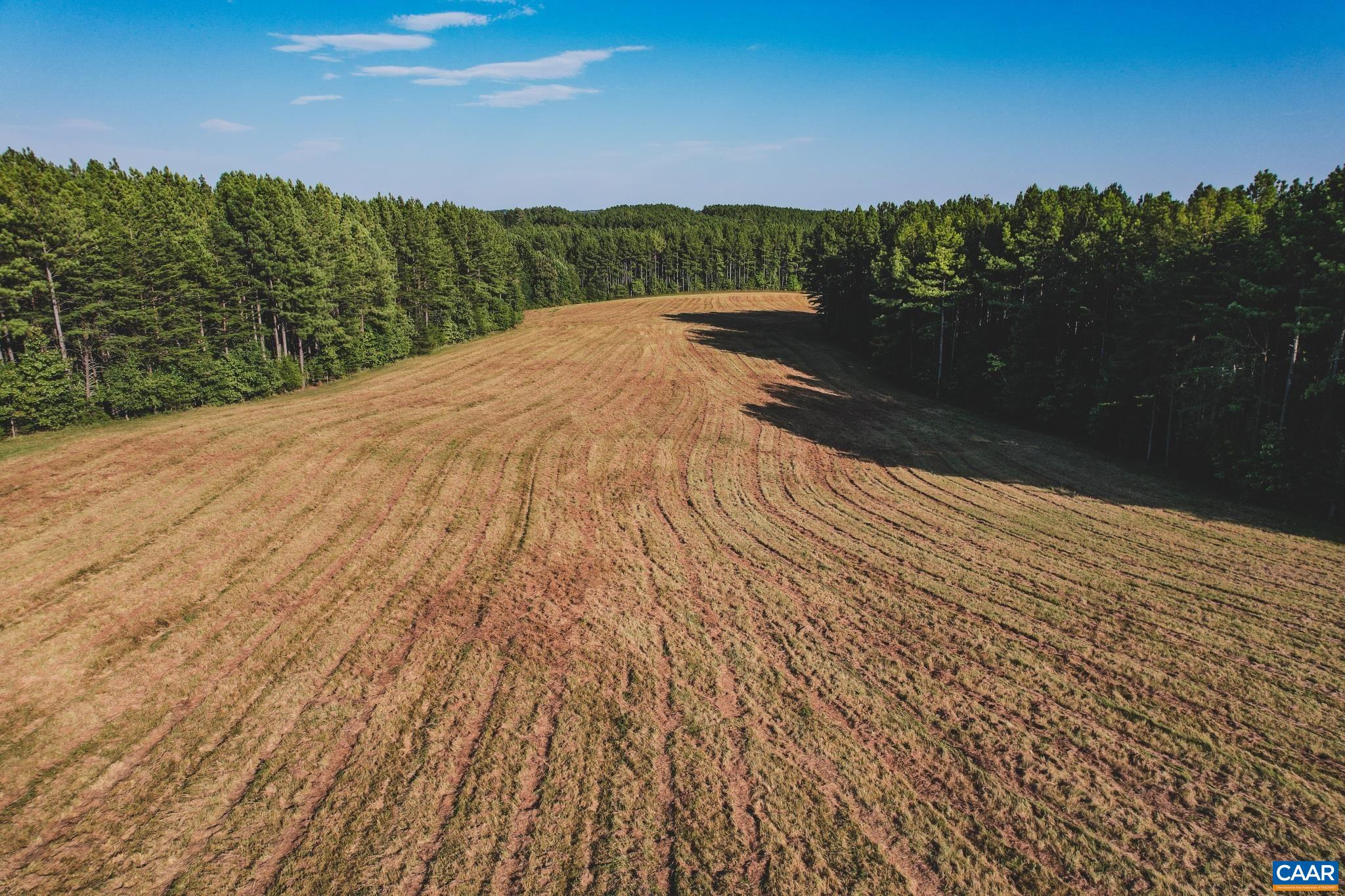 Lot 8 Blenheim Road Charlottesville, VA 22902 - Photo 6 of 30 Gallery Image 6