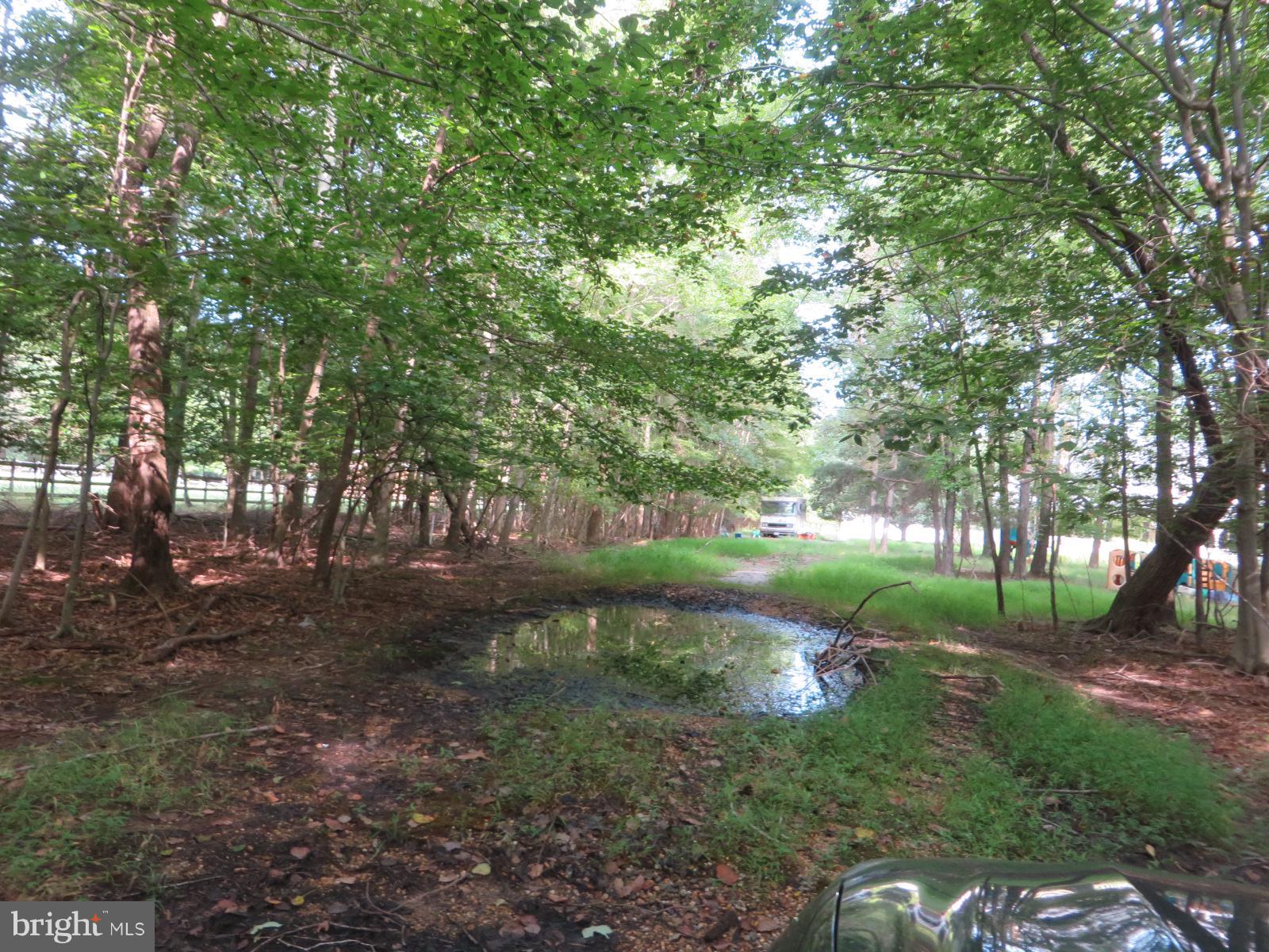 6350 Fenwick Road Bryans Road, MD 20616 - Photo 3 of 30 Half way down driveway