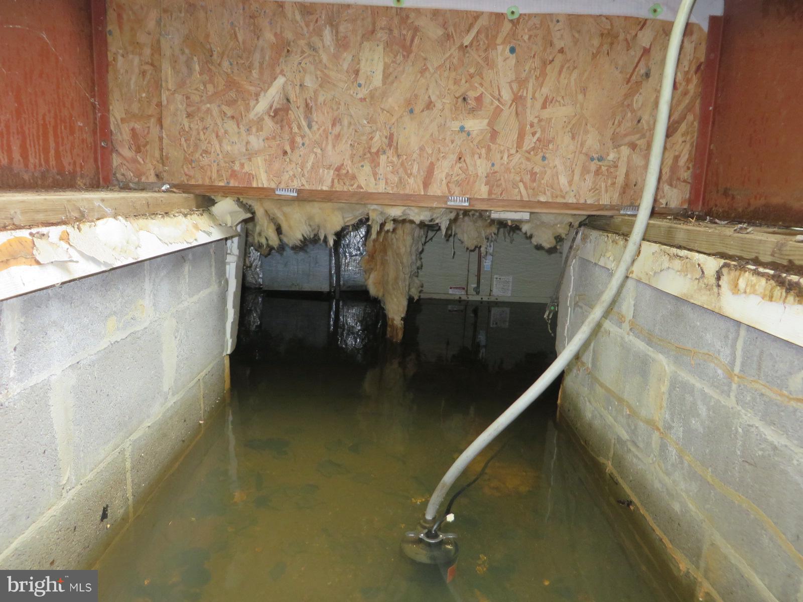 6350 Fenwick Road Bryans Road, MD 20616 - Photo 29 of 30 Water in Crawl Space has water
