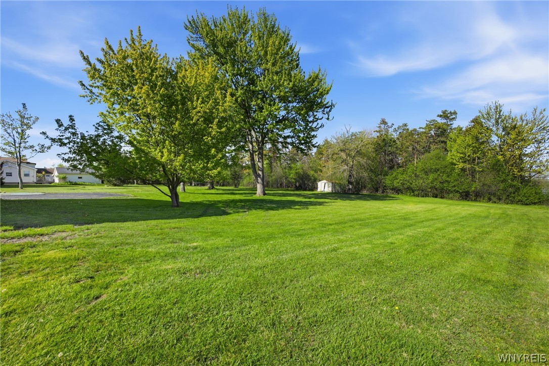 4537 Dorchester Road Hamburg, NY 14219 - Photo 35 of 35 Yard