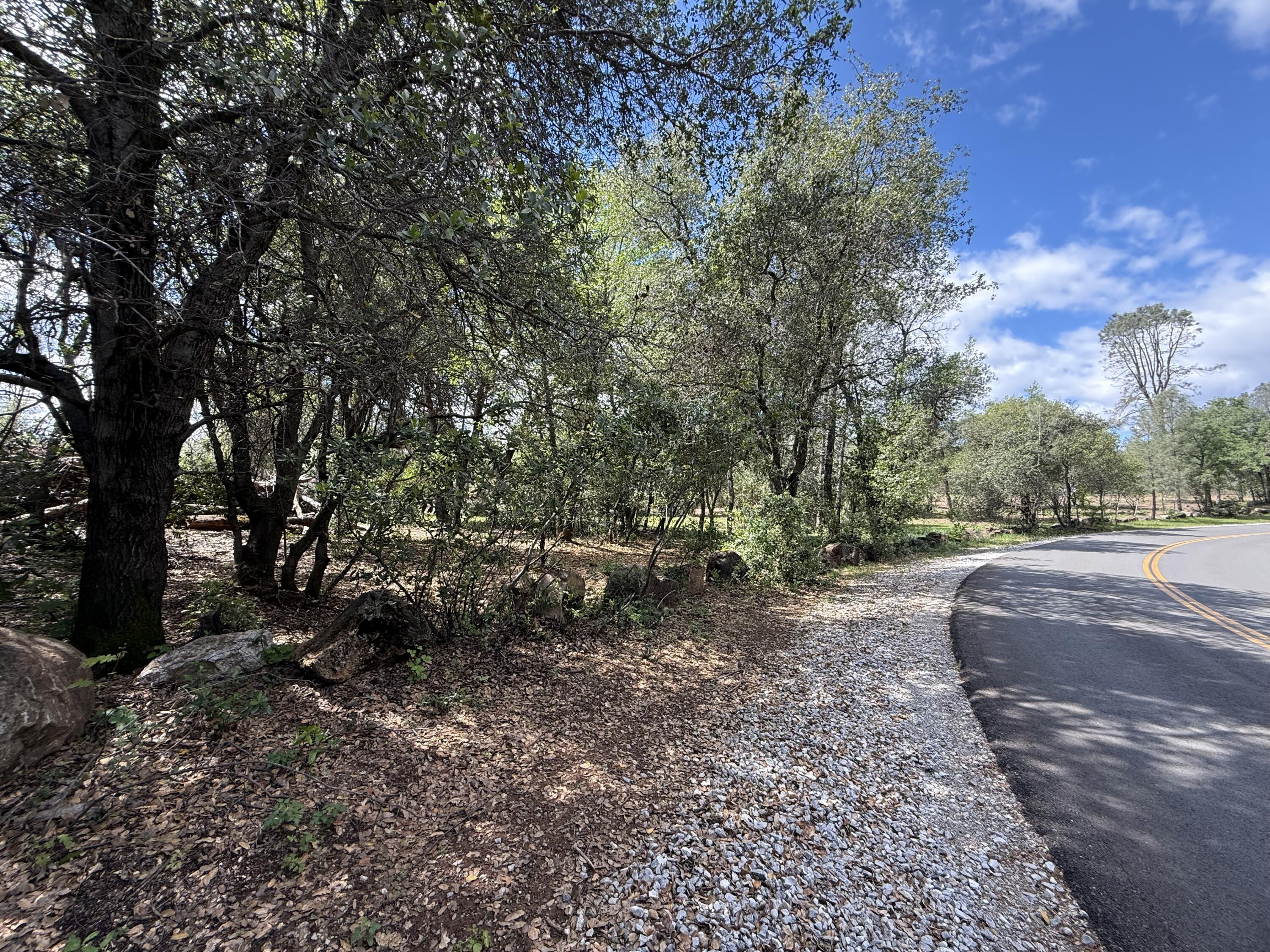 12333 Quartz Hill Road Redding, CA 96003 - Photo 20 of 21 a view of backyard with green space